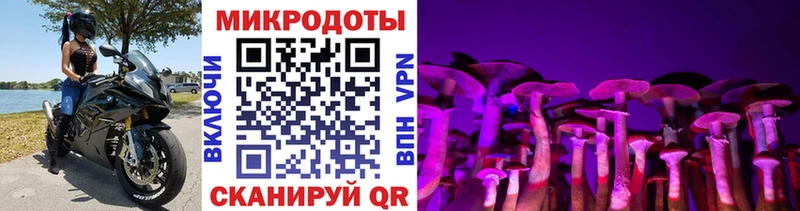 Псилоцибиновые грибы ЛСД Высоковск